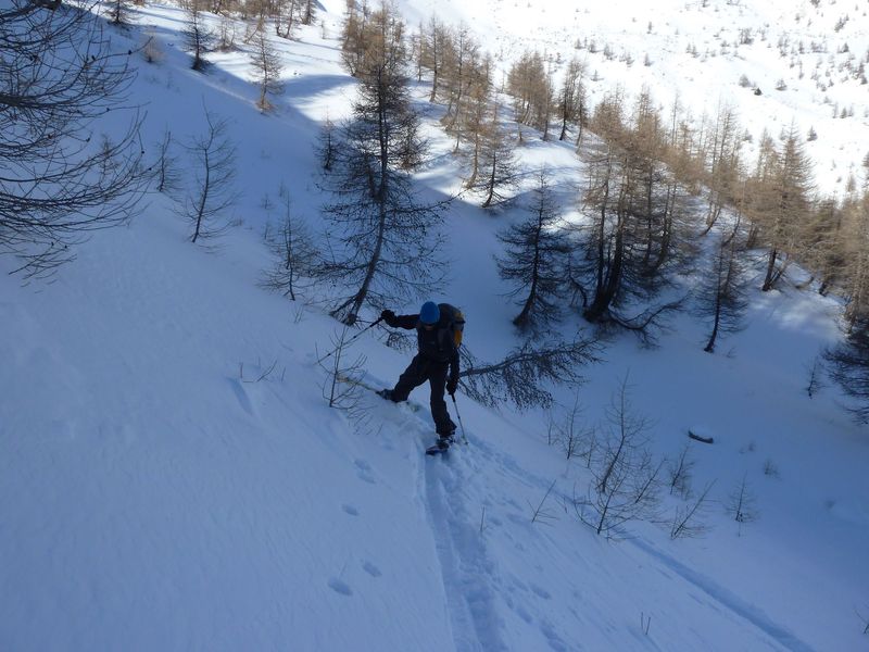 valdemars_dec_2011_059.jpg
