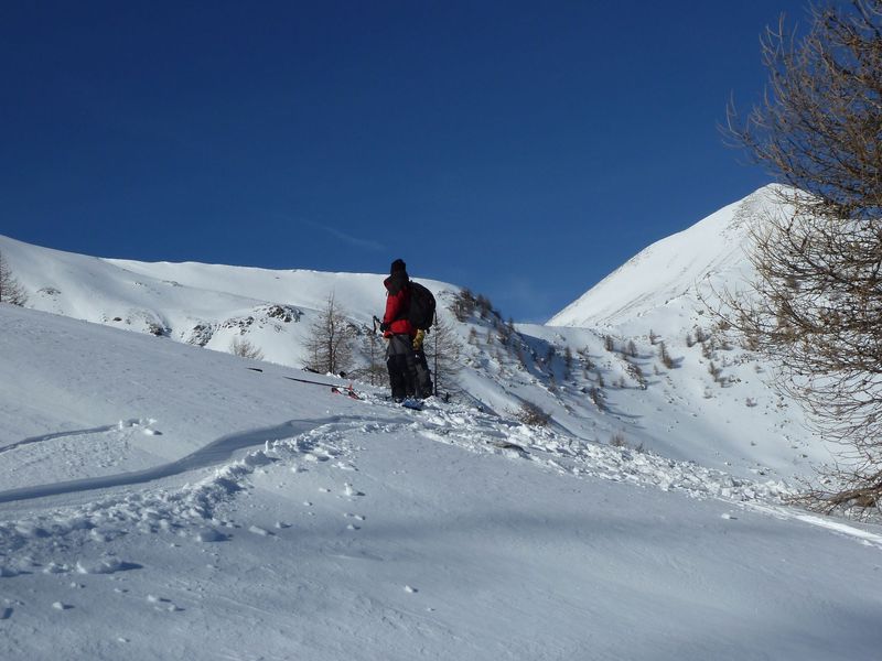 valdemars_dec_2011_079.jpg