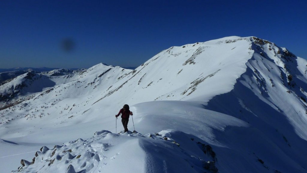 caduc_avril_2014_132.jpg