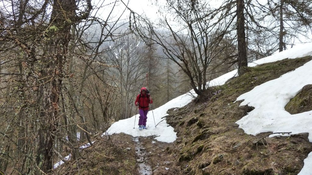 caduc_avril_2014_14.jpg