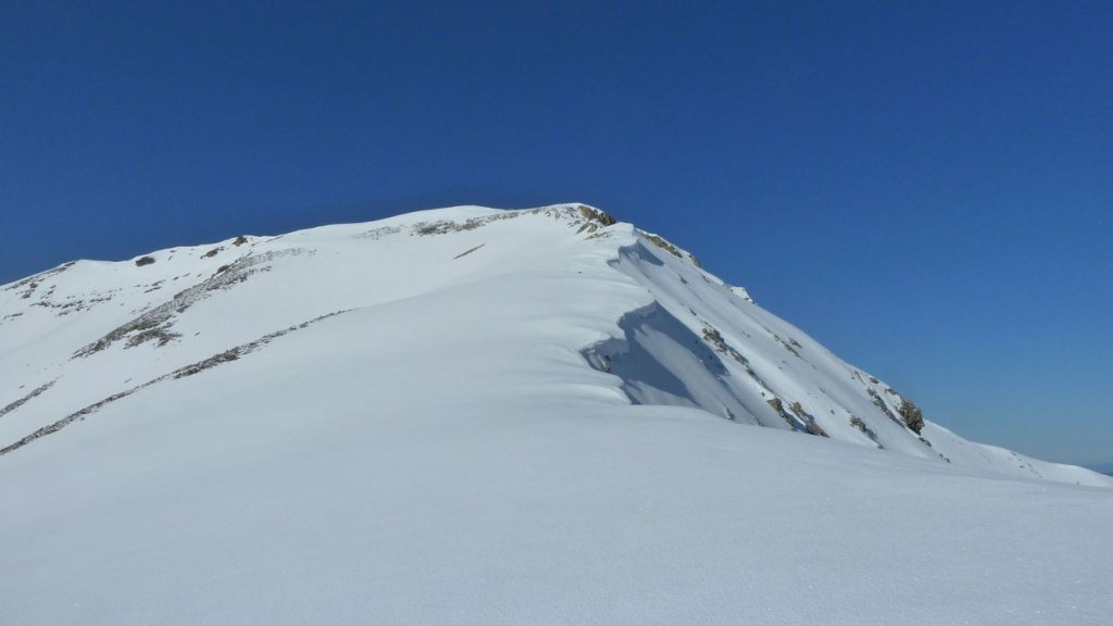 caduc_avril_2014_150.jpg