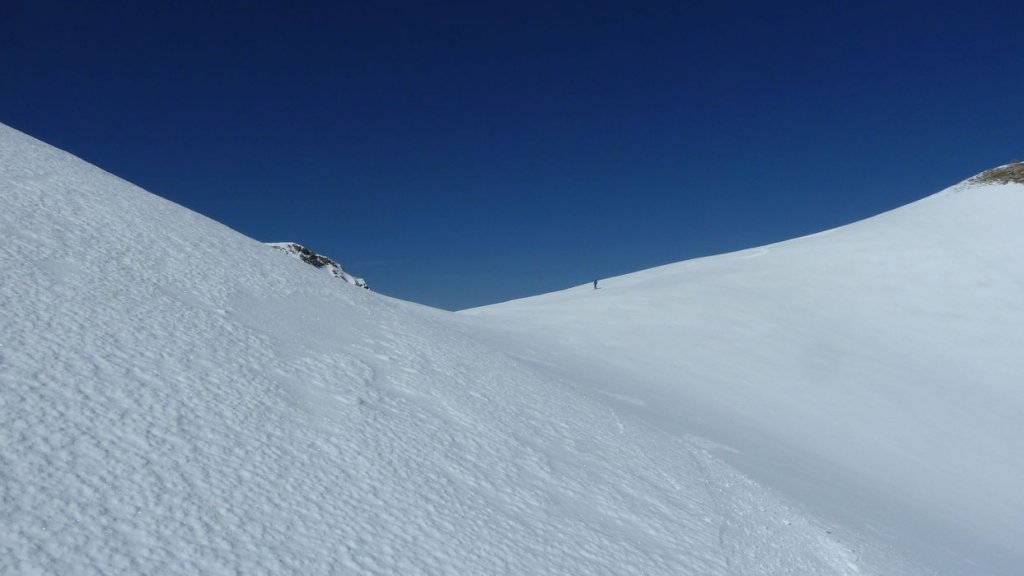 caduc_avril_2014_164.jpg