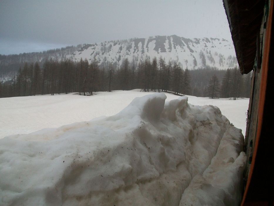 caduc_avril_2014_60.jpg
