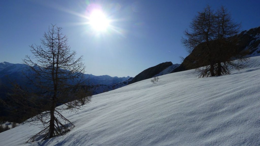 caduc_avril_2014_96.jpg