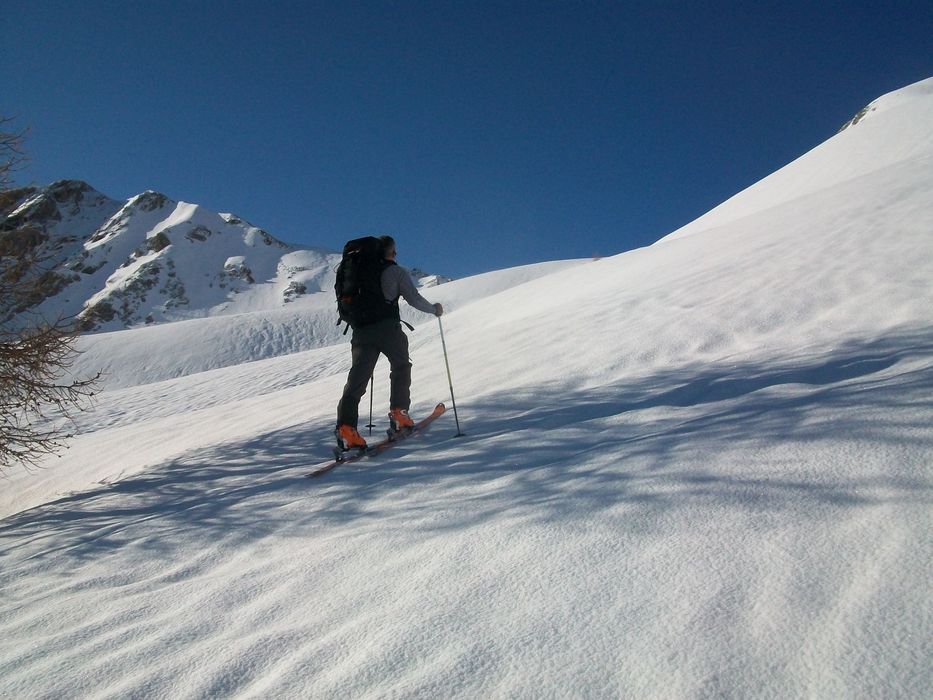 caduc_avril_2014_98.jpg