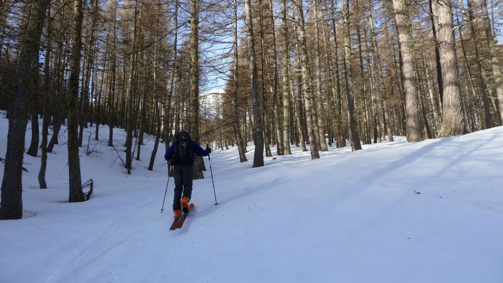 valdemars_avril_2016_013.JPG