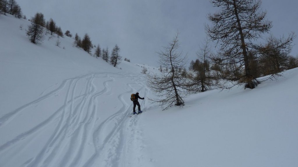 valdemars_fev_2013_062.jpg