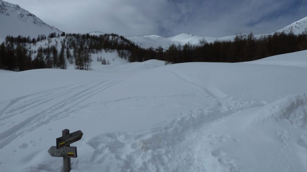 valdemars_fev_2013_118.jpg