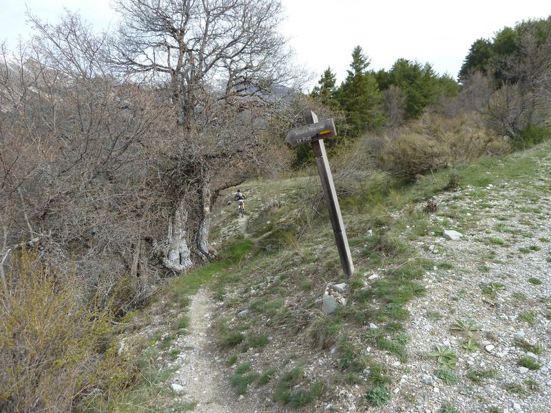 villars_heyssier_avril_2012_033.jpg