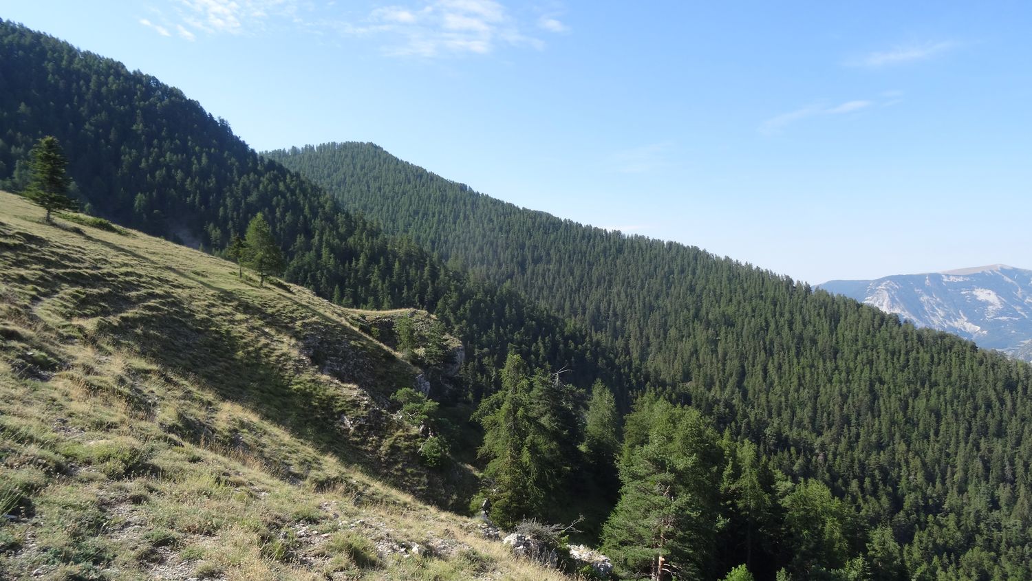 chabrieres_2020_016.JPG