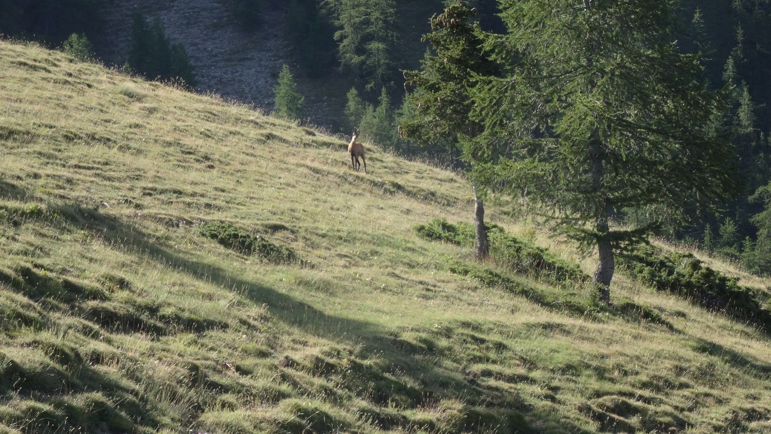 chabrieres_2020_018.JPG