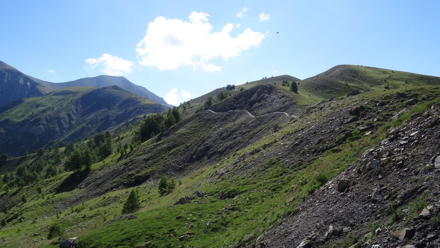 cheroueche_2020_008.JPG
