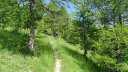 cheroueche_2020_015.JPG