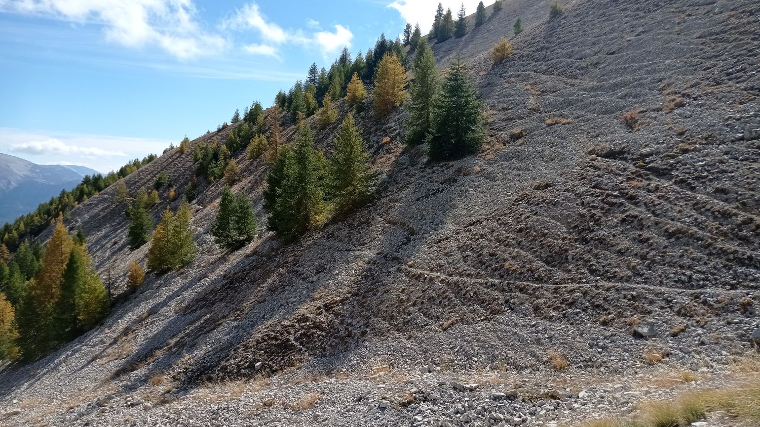 sommet_chev_blanc_oct_2021_25.jpg