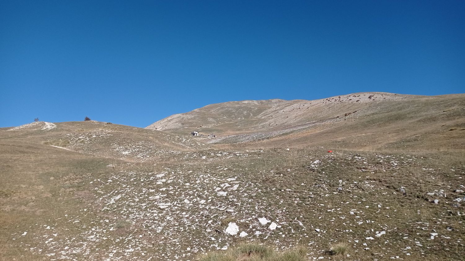 paluet_2021_01.jpg