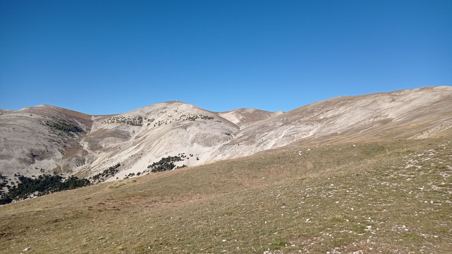 paluet_2021_05.jpg