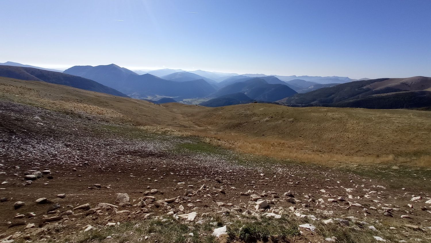 paluet_2021_19.jpg