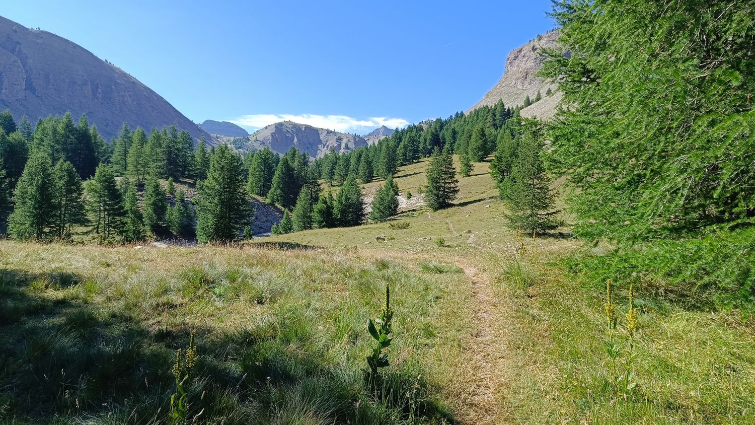 lacs_de_lignin_2025_030.jpg
