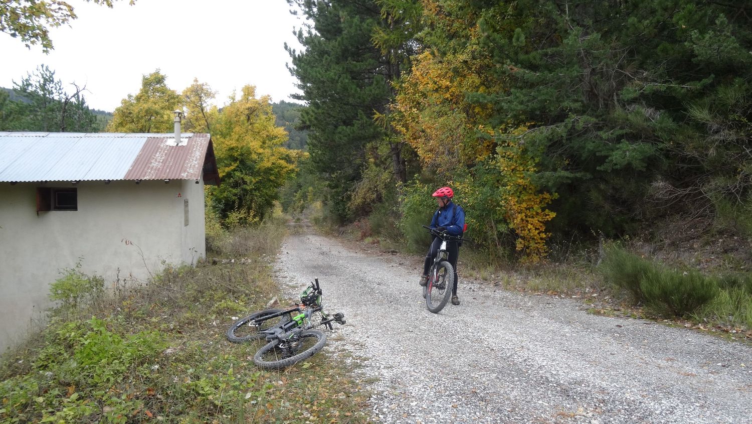 reyniere_oct_2019_2019_11.JPG