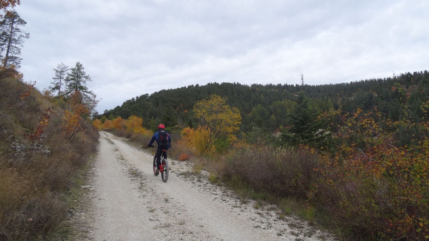 reyniere_oct_2019_2019_13.JPG