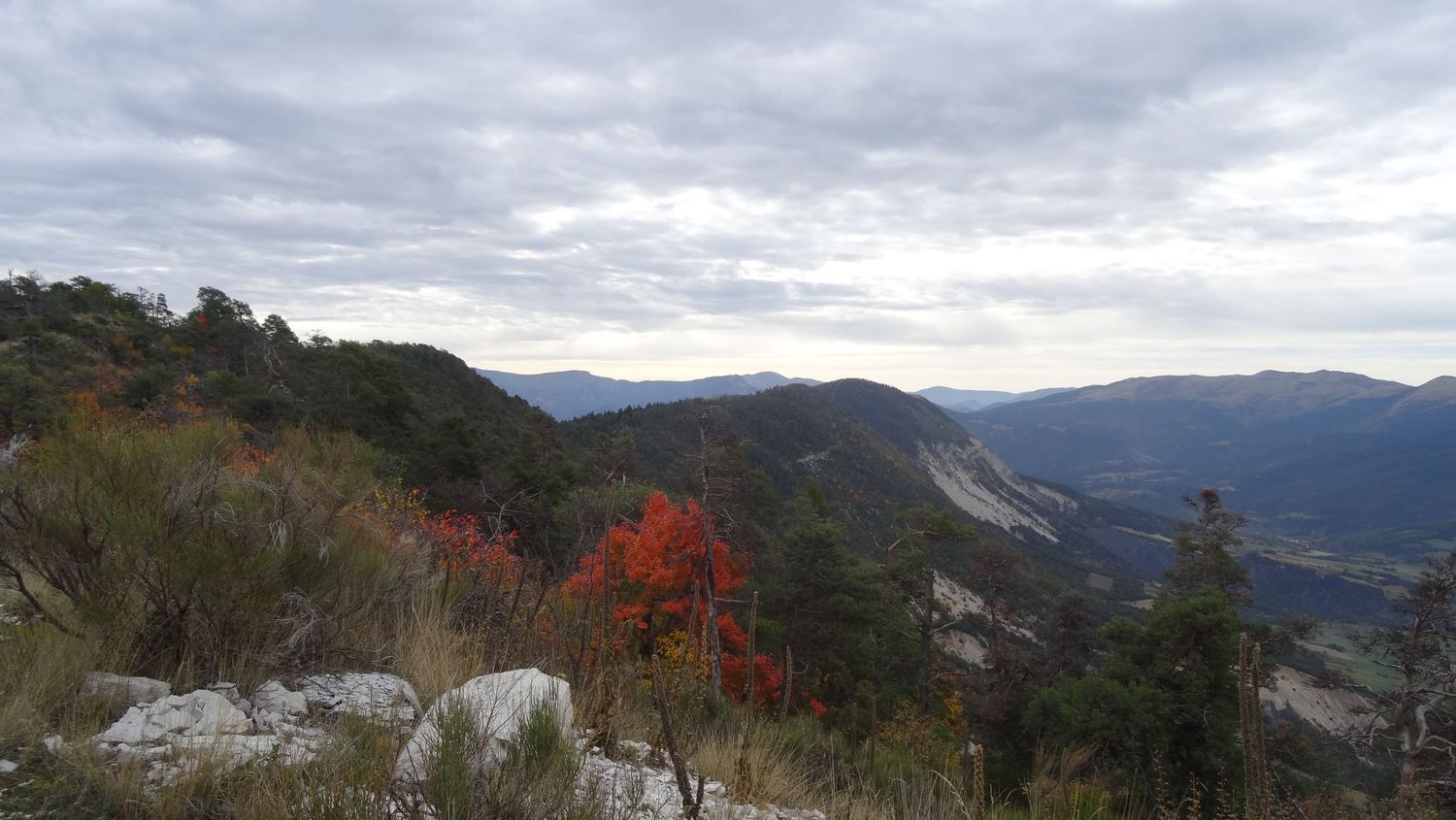reyniere_oct_2019_2019_15.JPG