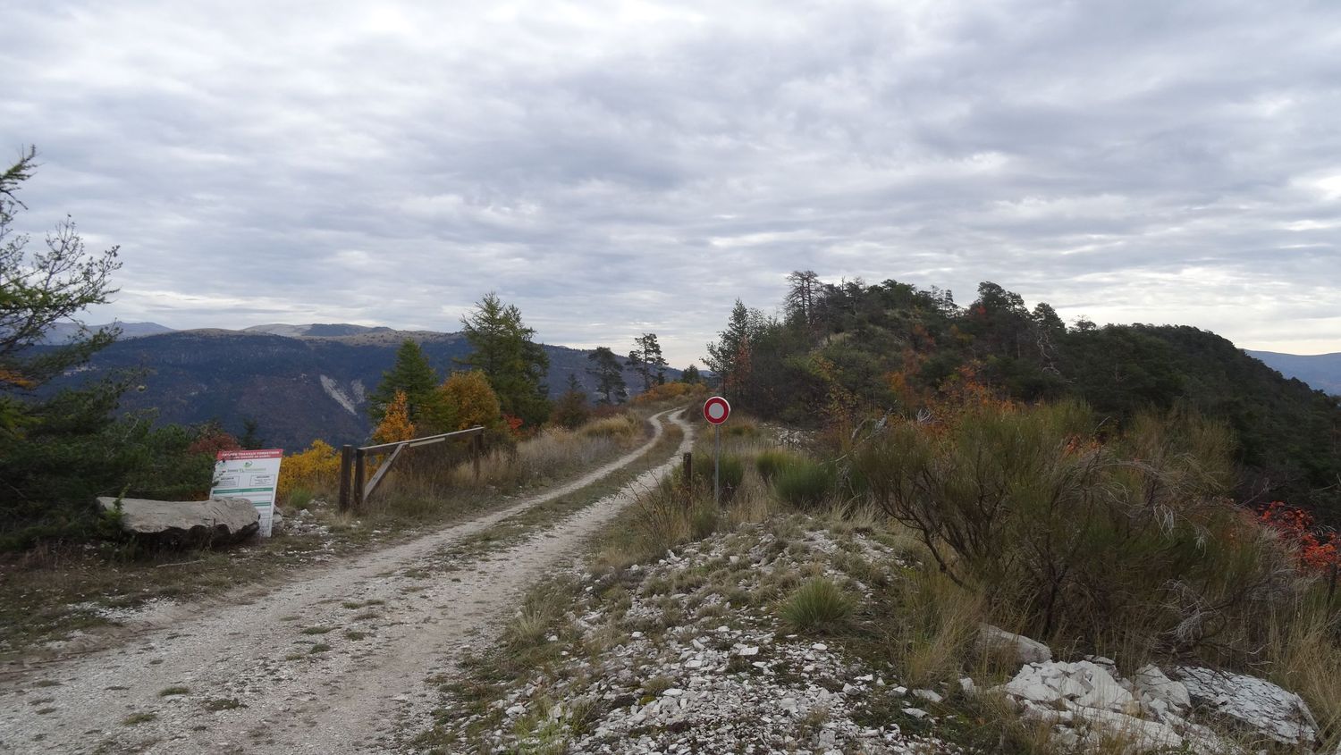 reyniere_oct_2019_2019_17.JPG