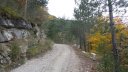 reyniere_oct_2019_2019_07.JPG