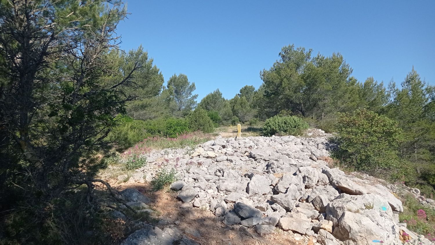 chateauvallon_brousan_juin_2022_008.jpg