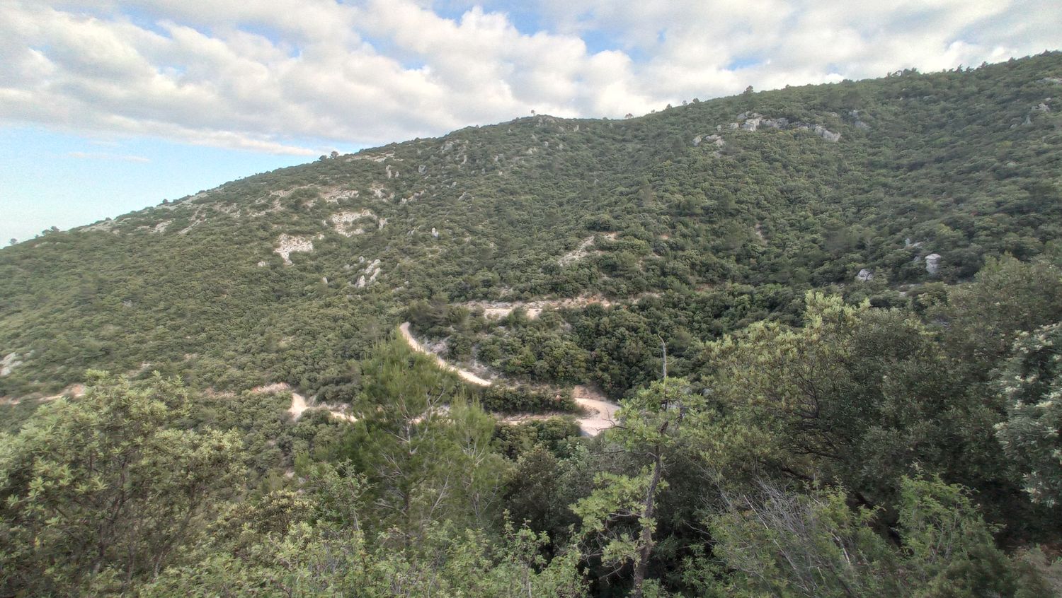 agnis_juin_21_005.jpg
