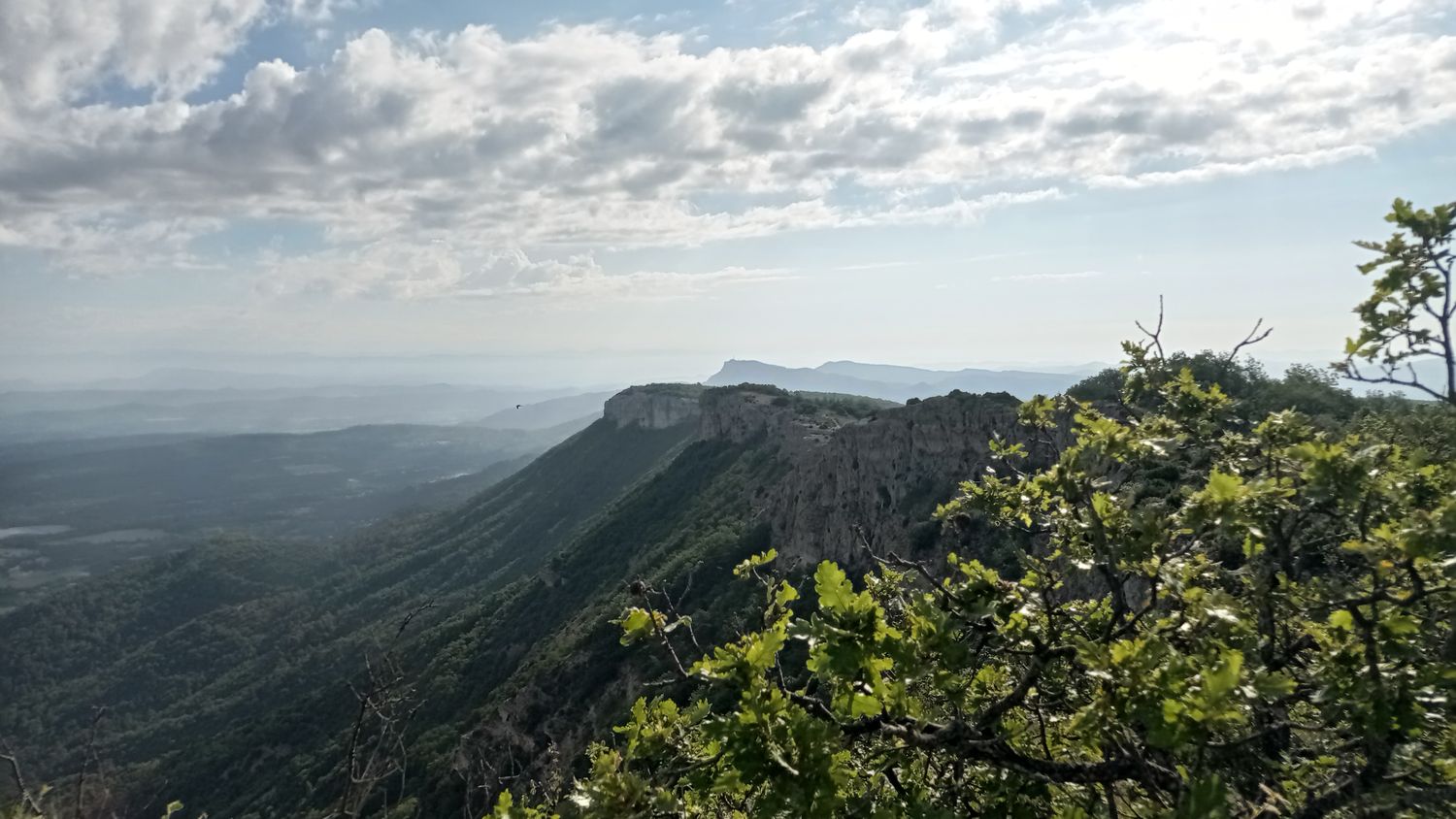 agnis_juin_21_007.jpg
