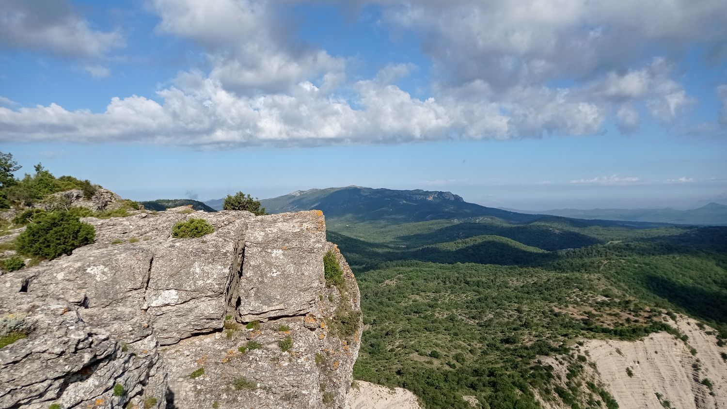 agnis_juin_21_008.jpg