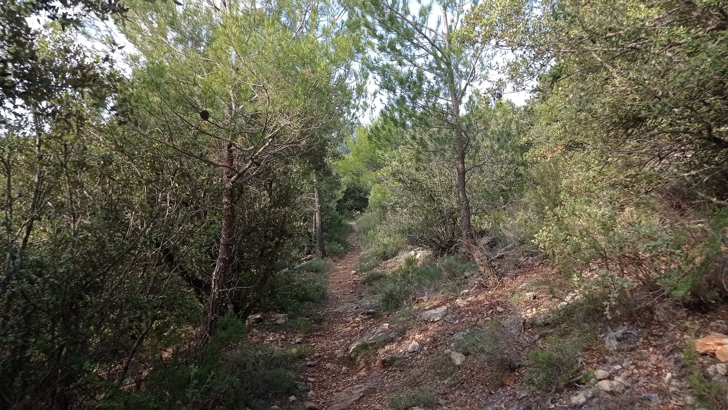 agnis_juin_21_011.jpg