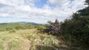 agnis_juin_21_006.jpg
